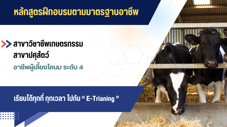 สาขาวิชาชีพเกษตรกรรม สาขาปศุสัตว์ อาชีพผู้เลี้ยงโคนม ระดับ 4